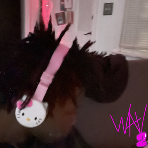 wav 2