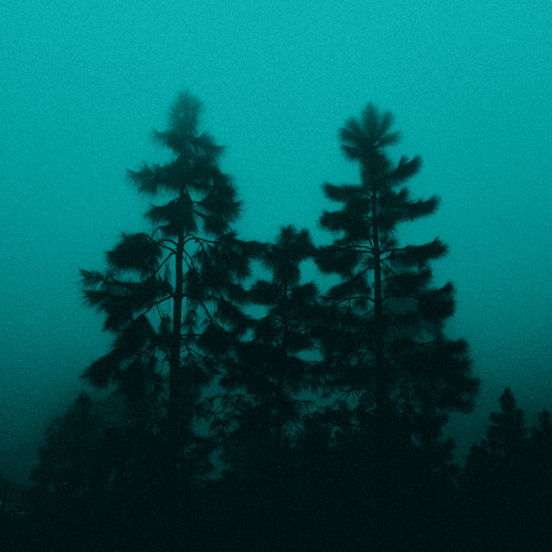 Reality Changes