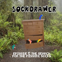RoseJam - Live from Sockdrawer Renegade Episode 1