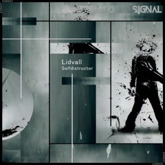 Premiere: Lidvall "Pose" - Signal Rec
