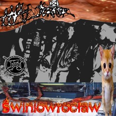 SPYTAJ MILICJANTA (DEZERTER COVER)