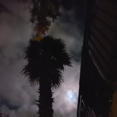 Le meilleur des mondes 2023 prod Lowshee