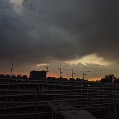 2019