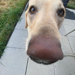 :p