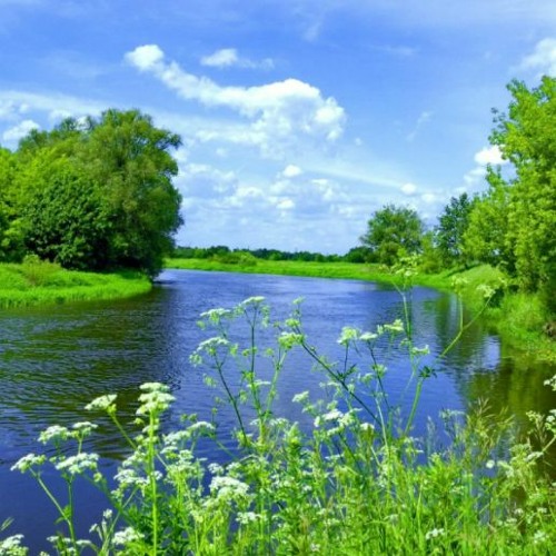 Acceptance leaves background 陸FREE DOWNLOAD