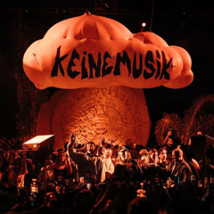 DJ Koze - Buschtaxi Played by Keinemusik**