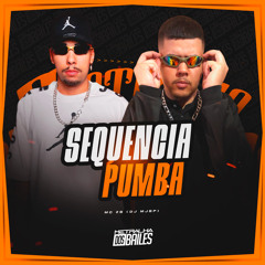 Sequência Pumba