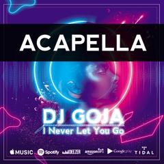 Dj Goja - I Never Let You Go (Acapella)