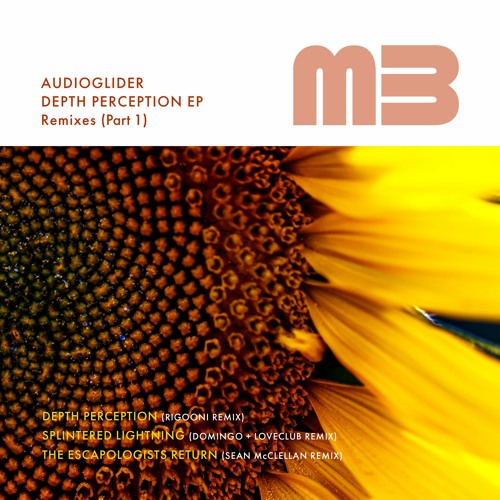Audioglider - Depth Perception (RIGOONI Remix)