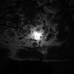 midnight's interlude (featuring-the jungle)