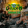 Budata Sasha Za - Blossom Garden (Fantomas Rooftop) | Live 22.07.2022
