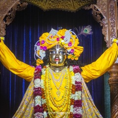 Goloknath Das At Radha Madhava In Mayapur 11.3.21