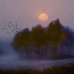 لاشكّ انا بشكيه وشكواي لله