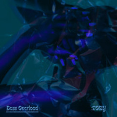 Bass overload (FREE DL)