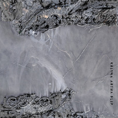 Fuze (Krisna Artha Flip)