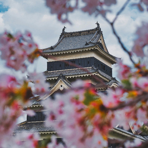 pi'erre bourne type beat - "cherry blossom" prod. me