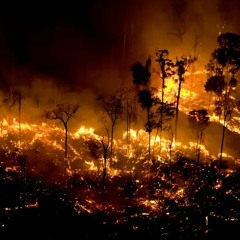 Code M. Baile do QTG