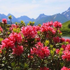 R City & Adam Levine - Locked Away Piano