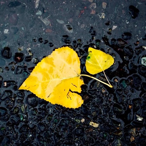 Thousand Signs (Lumi Trance Dance Remix 2025)