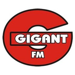 NEW: Gigant FM 'The Netherlands' (2005) - Demo - VHU Europe