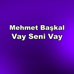 Vay Seni Vay