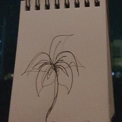 언어의 온도(2022)