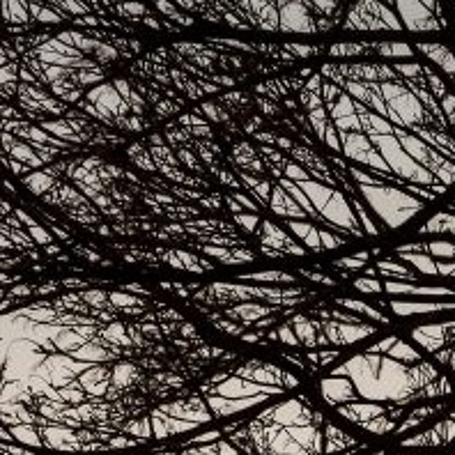 branches