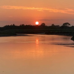 Oh Baby ( Lcd Sound system Cover) by PILOTE