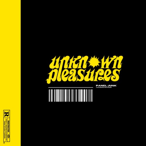 Panel Junk - Unknown Pleasures (Jorja Smith "TIME" Rework)