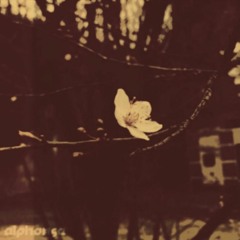 in the future, we move to stay awake