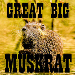 Great Big Muskrat