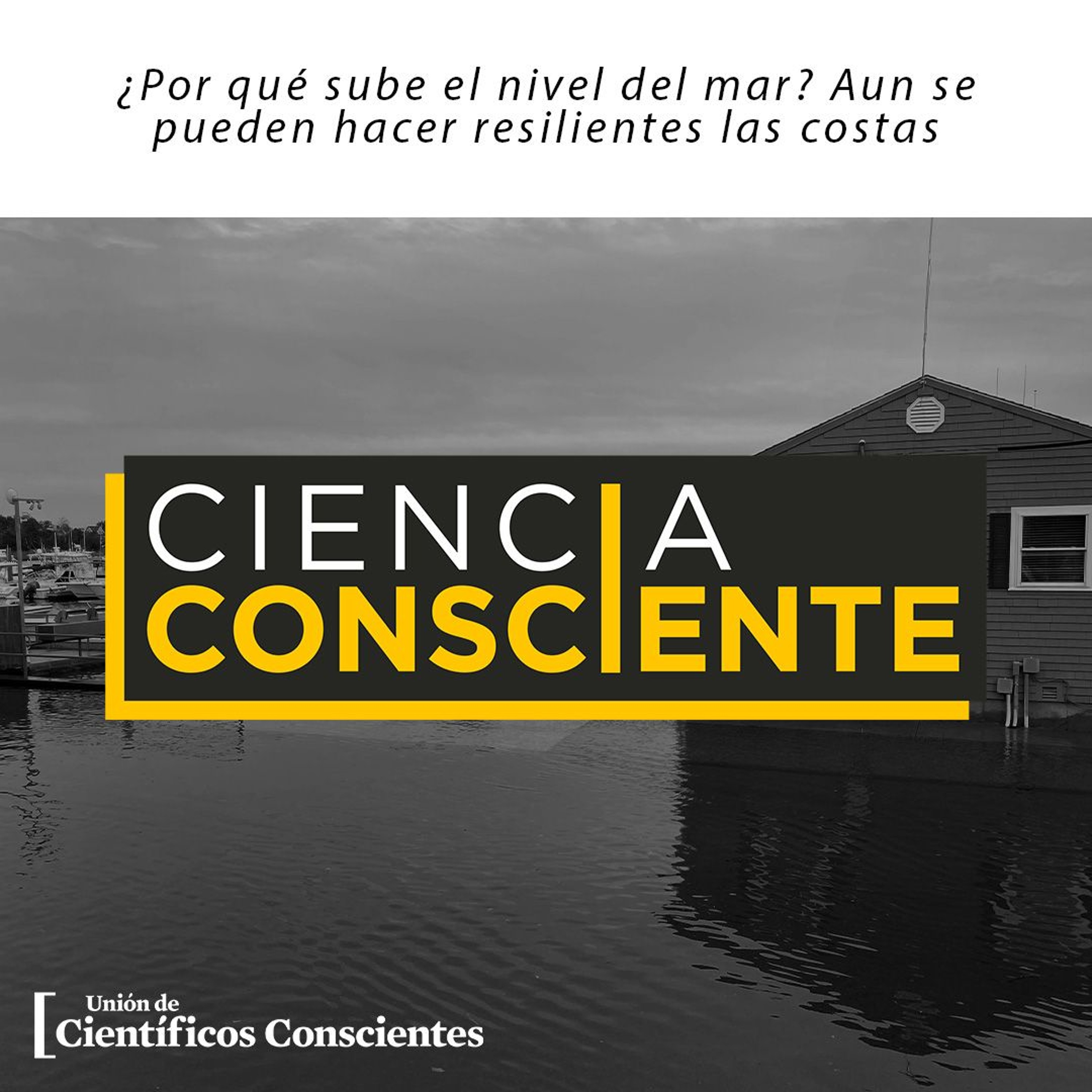 Ciencia Consciente
