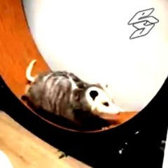 euroslushie b2b AmygdalaTRAXx @ GAY JAZZ'S CEREMONY II