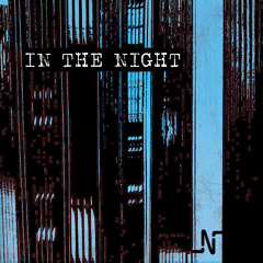 Mark Jackus & Marcus Sur ft. Golden Parazyth - In The Night (Noir Retrospective Remix)