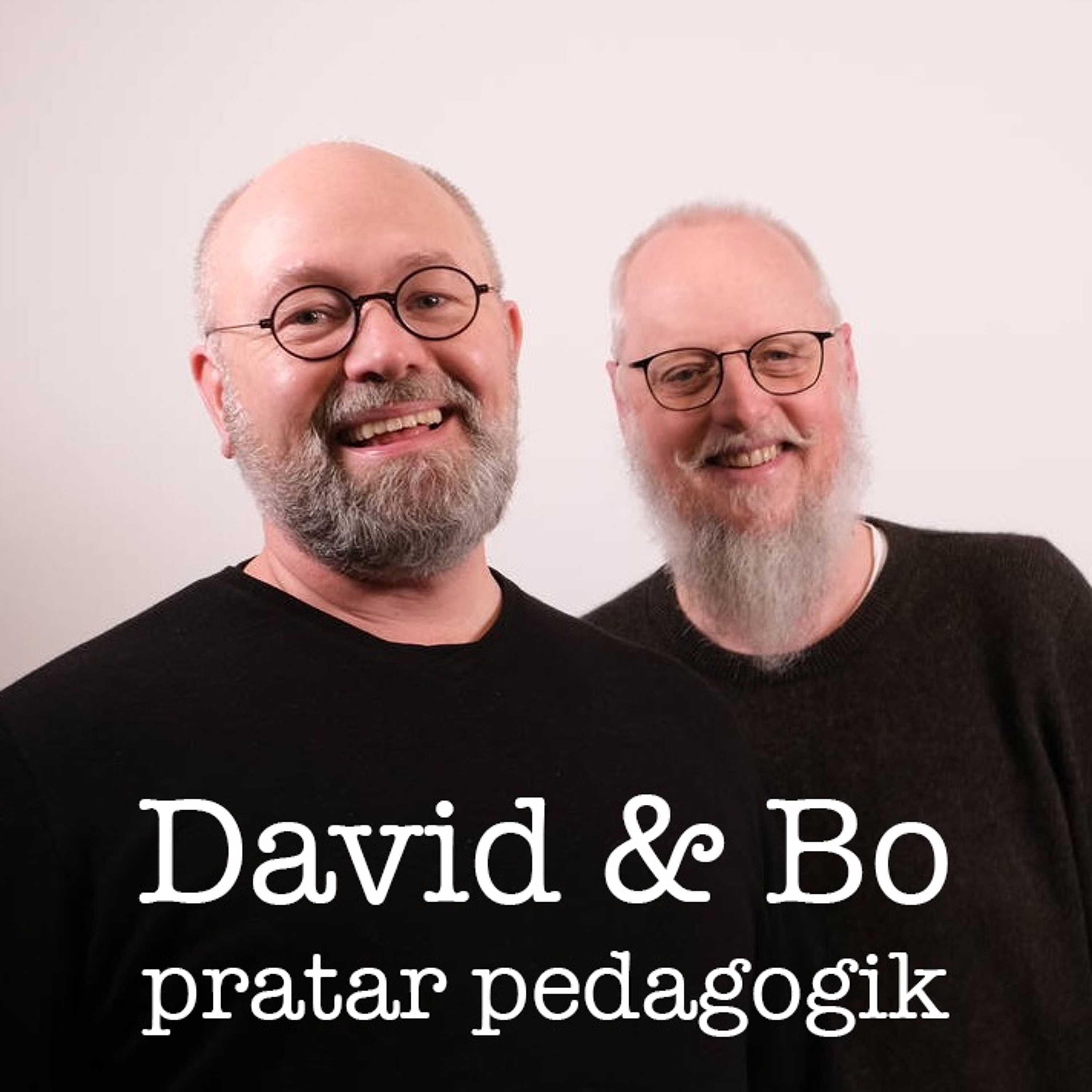 David & Bo Pratar Pedagogik