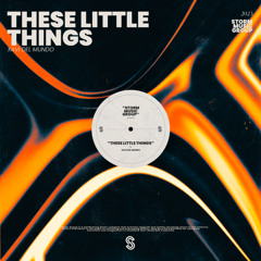 These Little Things (Radio Edit)