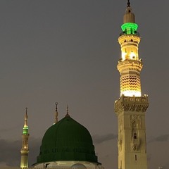 ما لي وللدُنيا؟