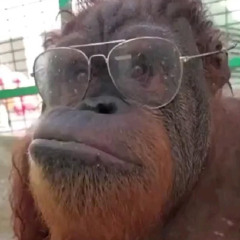 APEHEUL