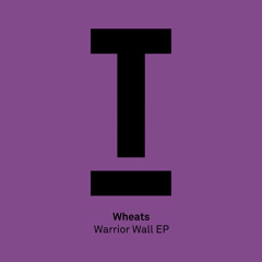 Warrior Wall (Original Mix)