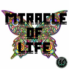 MIRACLE  OF LIFE