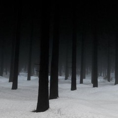 the ambience of a surreal forest