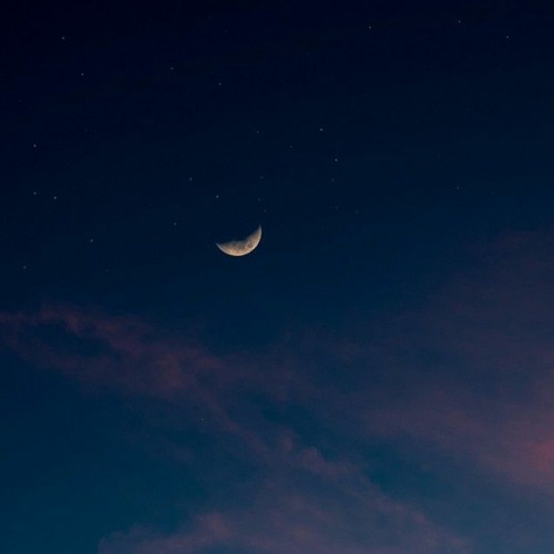 moon' (SOLD)