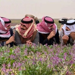 مثله و شرواه عندي رصيد و راس مال - محمد آل نجم