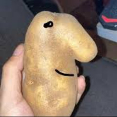 YSG Havoc - Nabeel(Prod.Damerunitup)