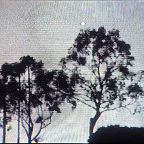 I Cause Chaos (Prod. Paranoid Pimp)
