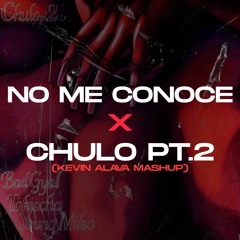 No Me Conoce Rmx x Chulo Pt.2 - Bad Bunny x Jhay Cortez x Bad Gyal x Young Miko (Extended Mashup)