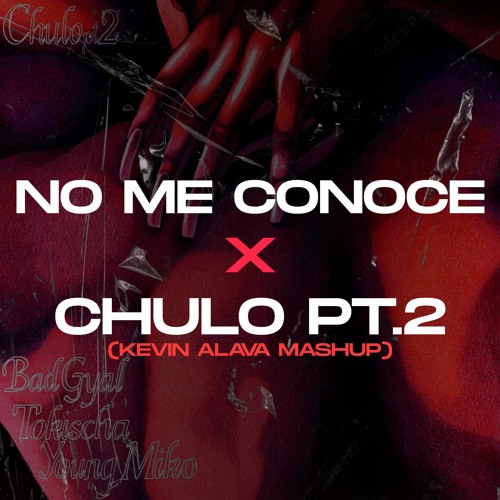 No Me Conoce Rmx x Chulo Pt.2 - Bad Bunny x Jhay Cortez x Bad Gyal x Young Miko (Extended Mashup)