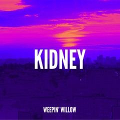 KIDNEY