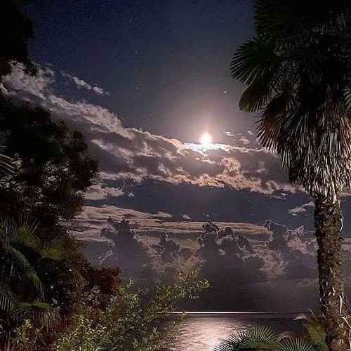 Moonlight Ep