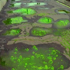 may clips 2025 +themed1c 1mar broycl tekoda benecoda starboyrob